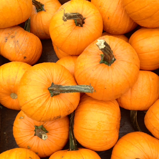 Healthy Pumpkin Recipes